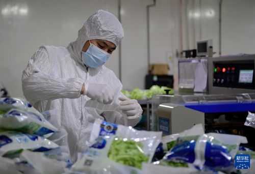 探訪大型無人植物工廠 通信技術驅動農業(yè)革新