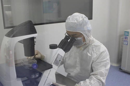 諾未科技 生命科學研究再創新，生物技術研發新突破